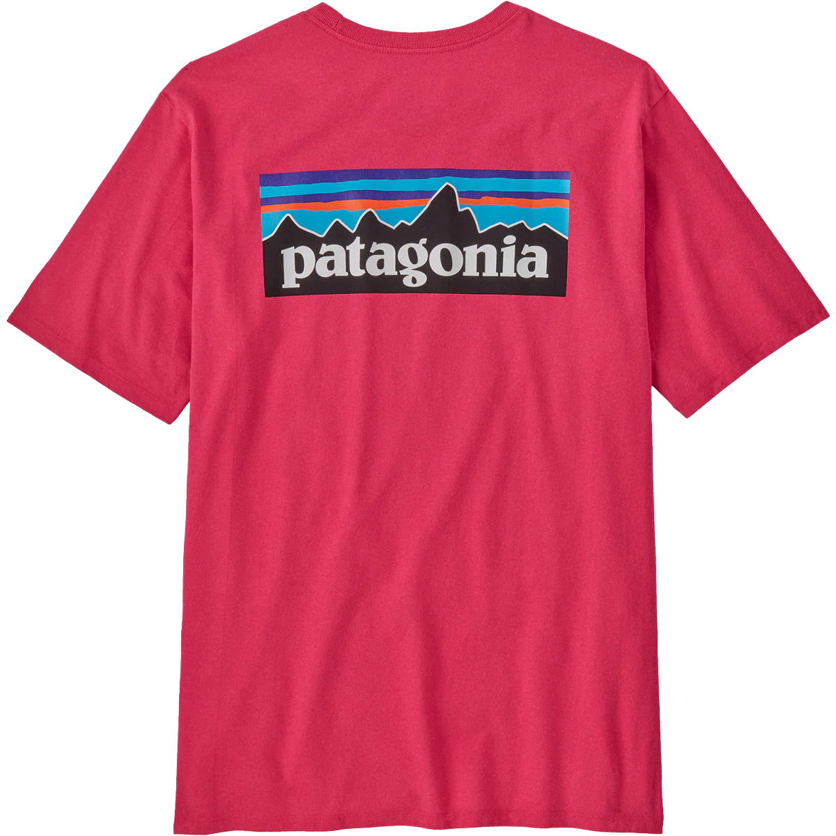 Men's P-6 Logo Responsibili-Tee - Onhollan