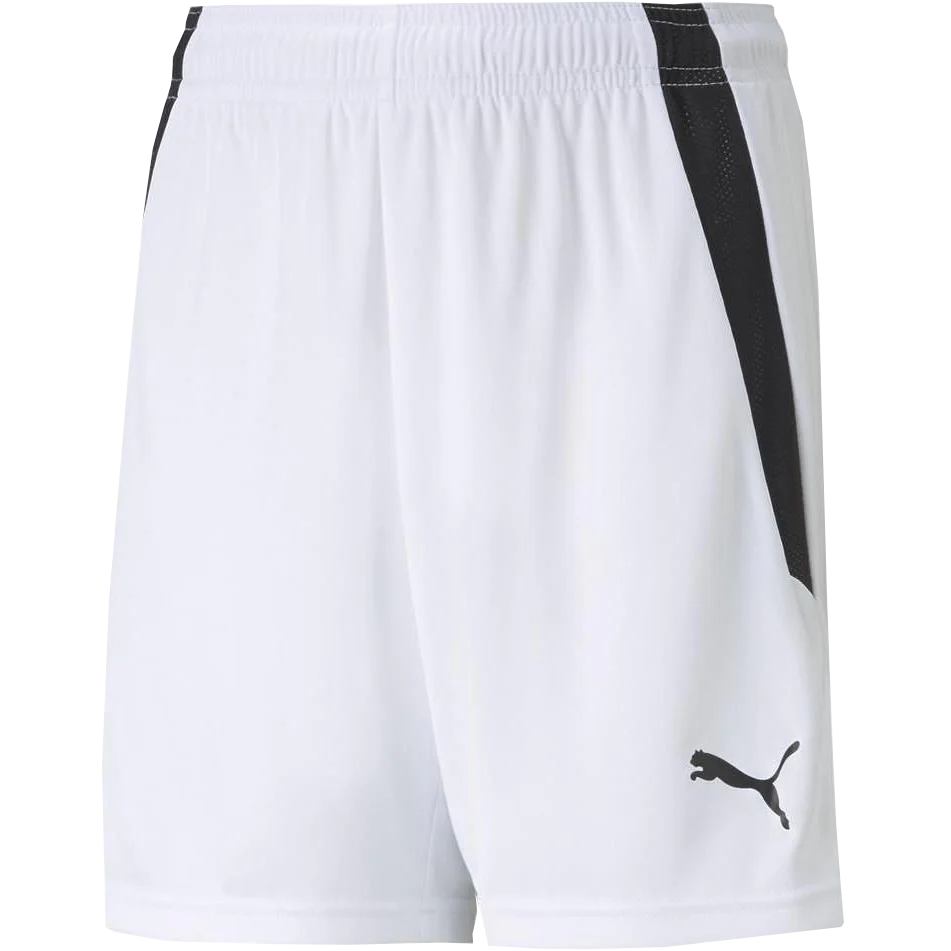 Youth Team Liga Shorts - Onhollan