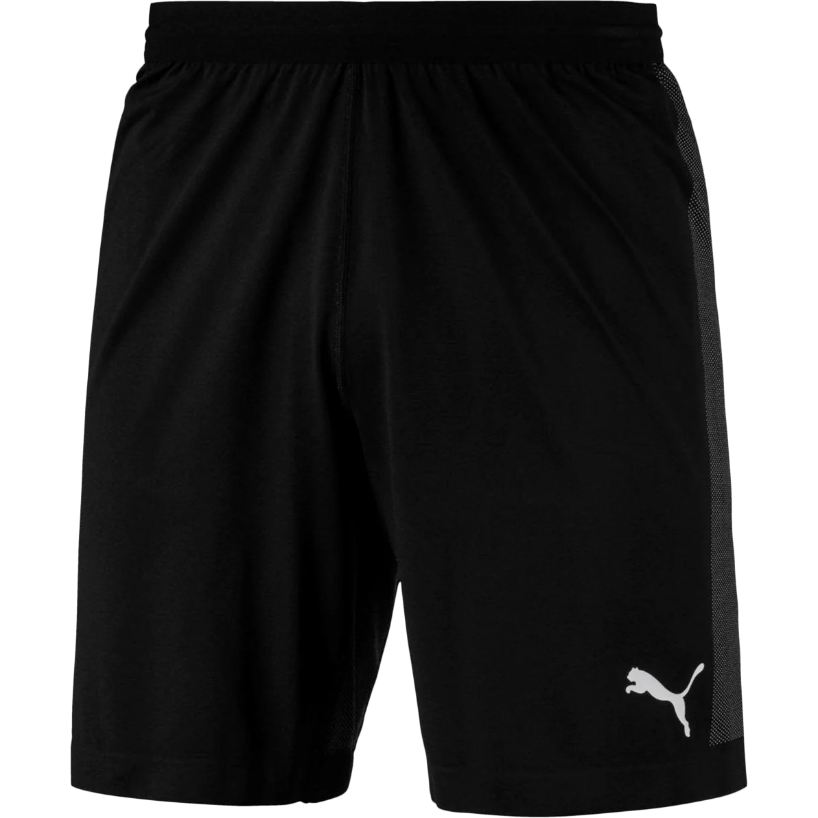 Men's Final EVOknit Shorts - Onhollan
