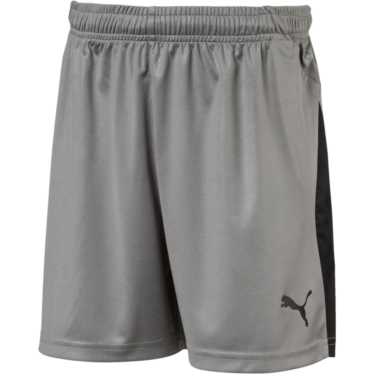 Youth Liga Shorts - Onhollan