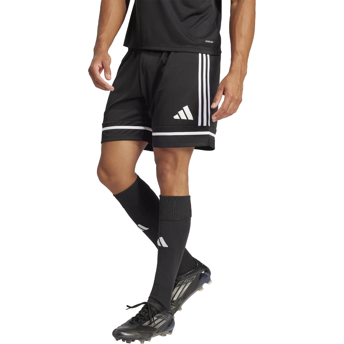 Men's Squadra 25 Shorts - Onhollan