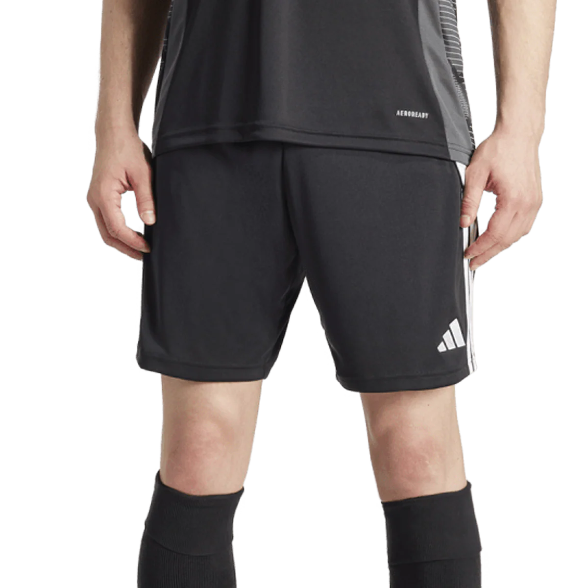 Men's Tiro 24 Shorts - Onhollan