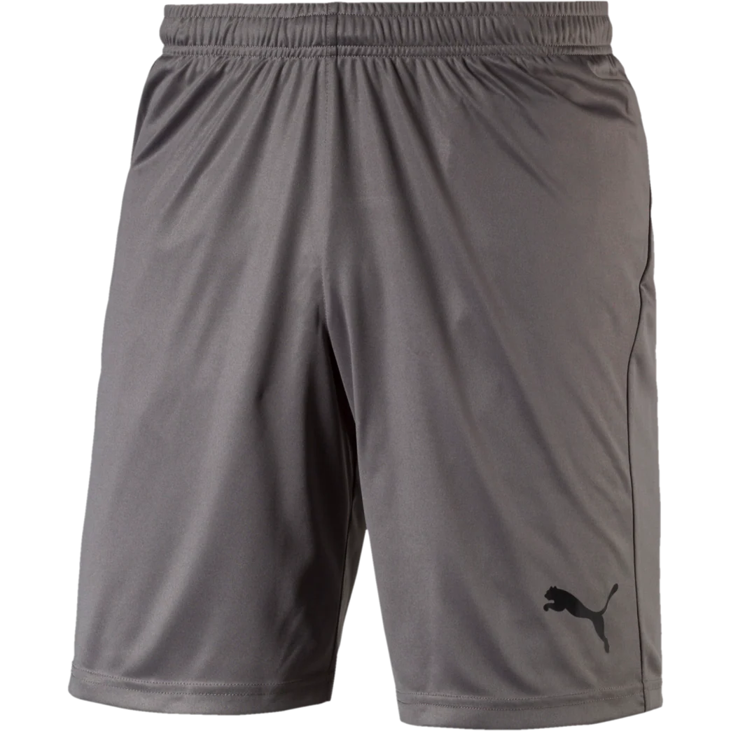 Men's Liga Core Shorts - Onhollan
