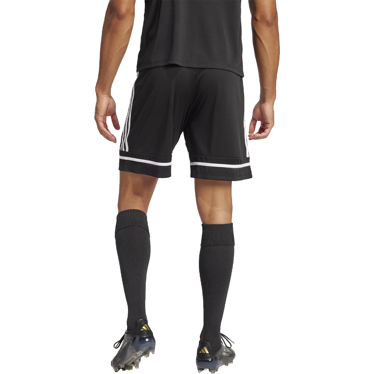 Men's Squadra 25 Shorts - Onhollan