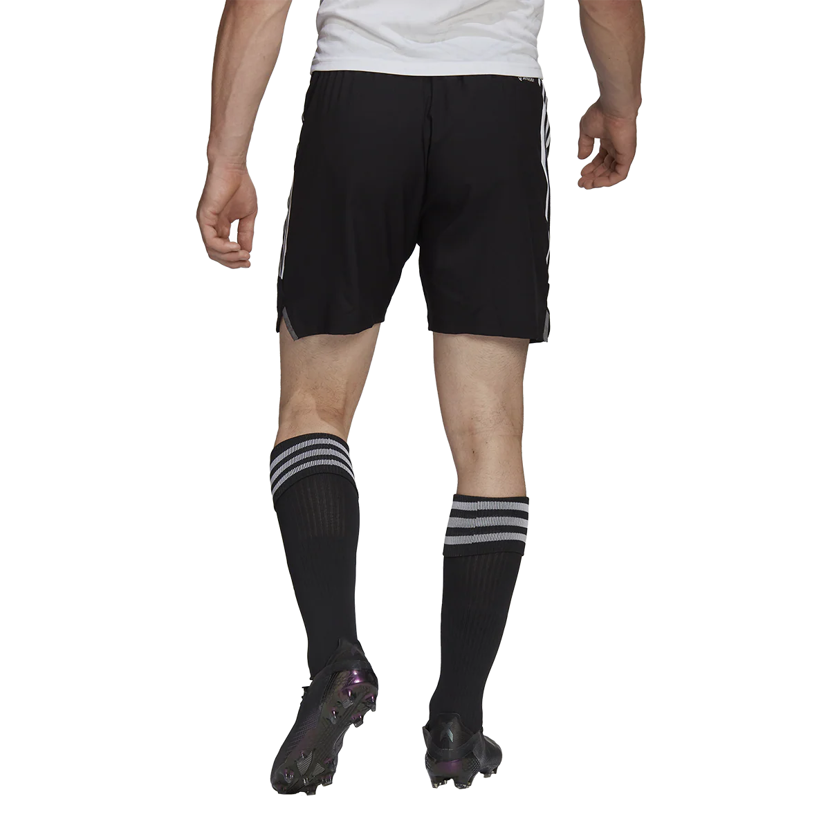 Men's Condivo 22 Match Day Short - Onhollan